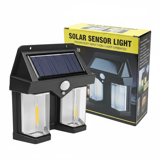 إضاءة حائط شمسية - مع العلبة